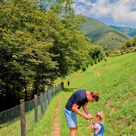 アパートホテル Piccola Valle Vobarno